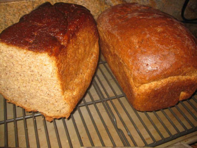 Homemade Whole Wheat Bread with Honey