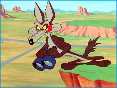 The Man, the Coyote, the Dog, the Cat, the Fish