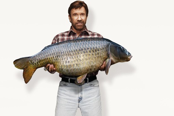 Check out the Czech Christmas Carp