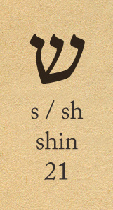 shin