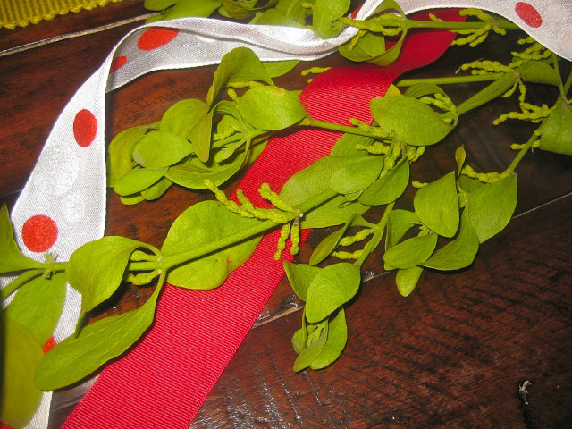 Kissing under the mistletoe