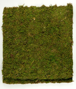 moss sheets for fairy house