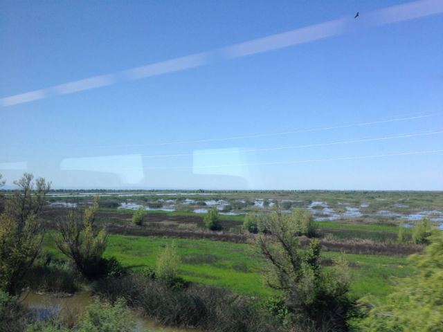 train ride window