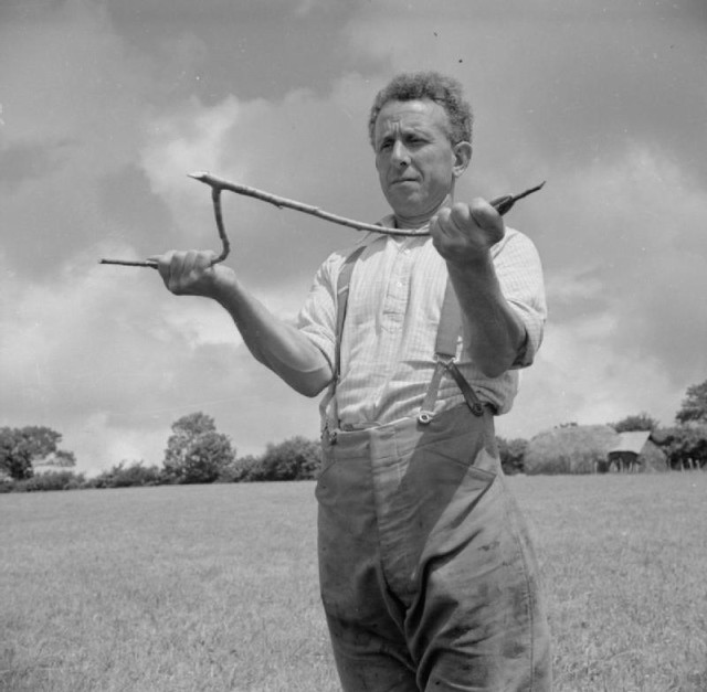 Agriculture in Britain- Life on George Casely's Farm, Devon, England, 1942 George Casely uses a hazel twig to find water on the land around his Devon farm. According to the original caption "Casely has the power of divining and has sunk a well in several of his pastures".