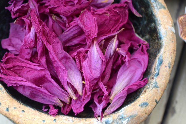 dried peonies