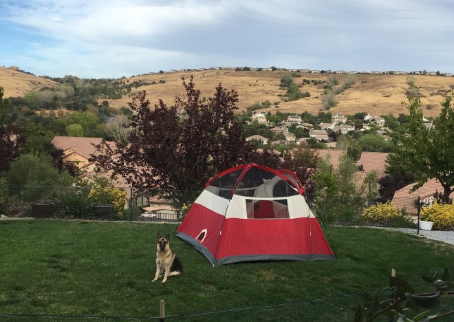 Conference, Sukkot, tents