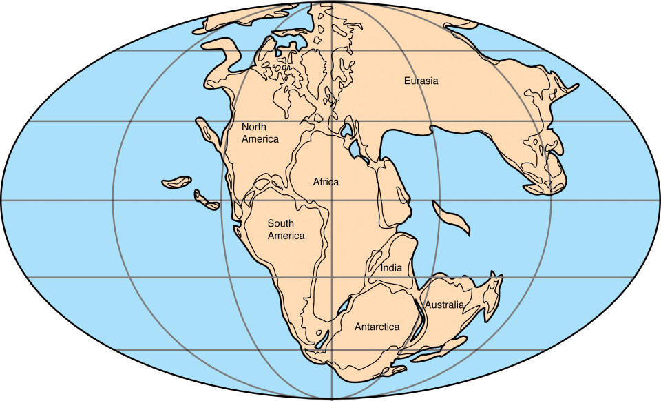 Pangaea drifted for a good reason