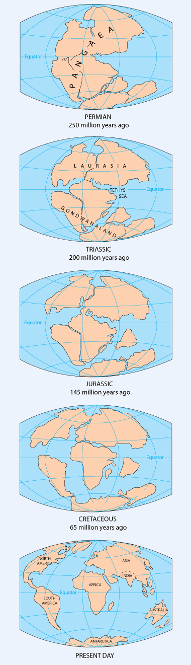 pangea-continental-drift