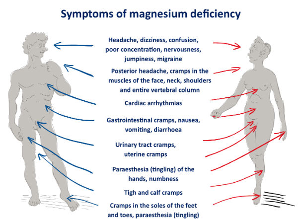 Choosing a good Magnesium supplement