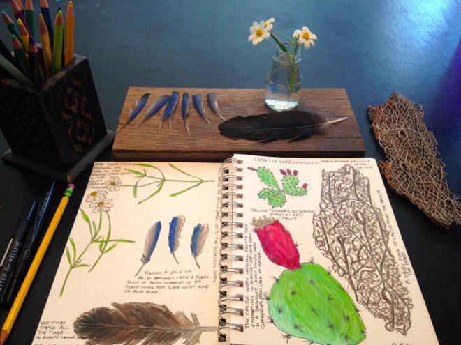 Nature Book ideas for Homeschool