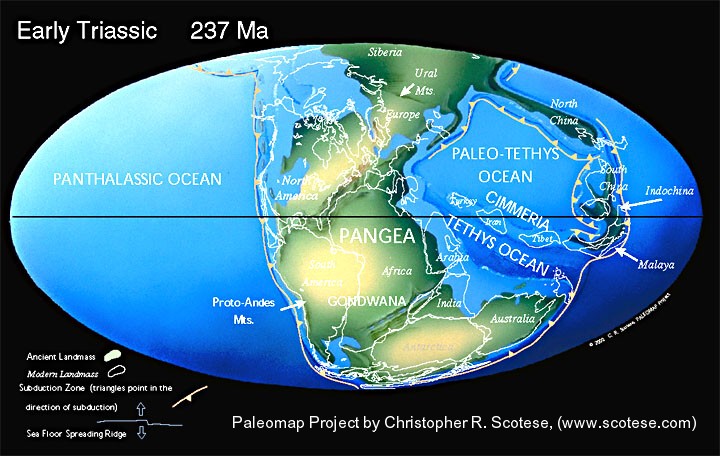 early triassic world