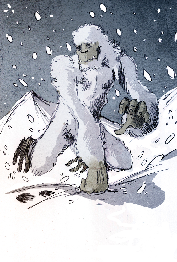 yeti