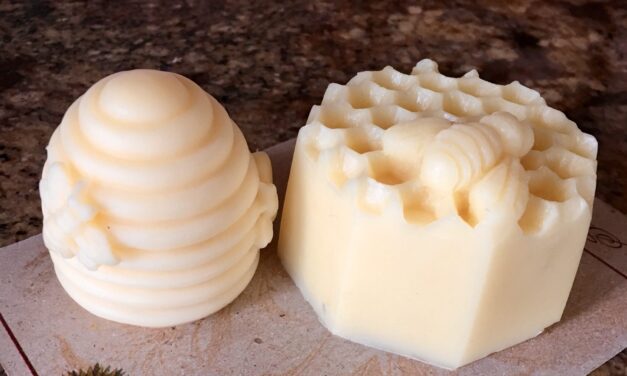 Beeswax Body Bar