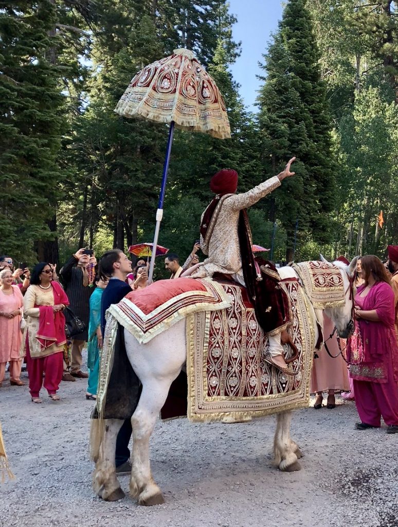 sikh wedding horse